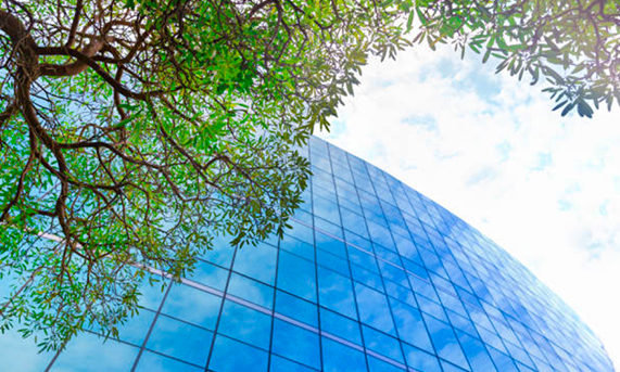 A look up at scattered clouds on a blue sky cut along a curve by a glass-fronted office building and framed by a tree